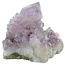 Cactus or spirit quartz with amethyst