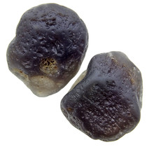 Tumbled Agni Manitite or Cintamani stone