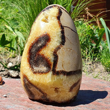 Septarian aufrecht 870 Gramm