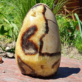 Septarian upright 870 grams