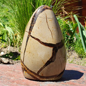 Der vielseitige Stein mit verschiedenen Mineralien Der vielseitige Stein mit verschiedenen Mineralien