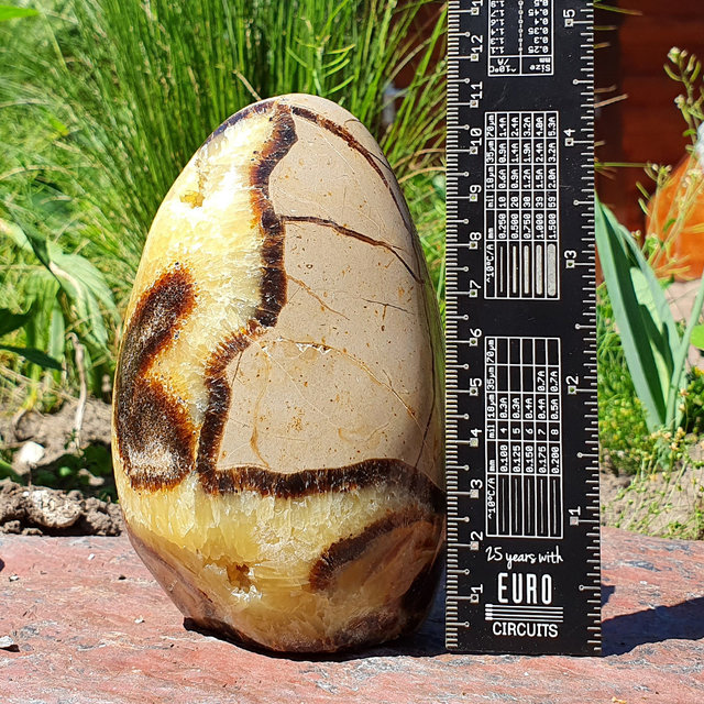Der vielseitige Stein mit verschiedenen Mineralien Der vielseitige Stein mit verschiedenen Mineralien