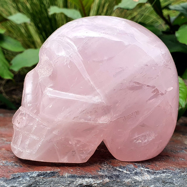 Rosenquarz Totenkopf 8 cm und 520 Gramm