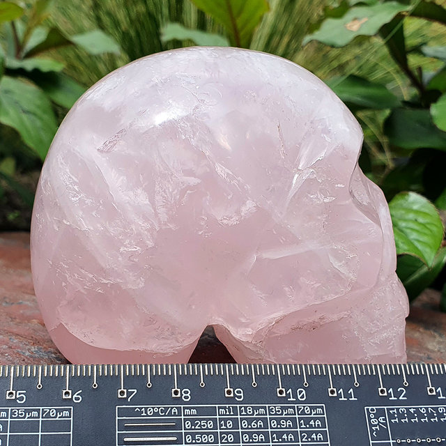 Rozenkwarts skull 8 cm en 520 gram