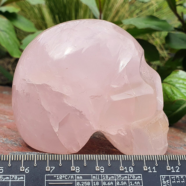 Rosenquarz Totenkopf 7 cm und 375 Gramm