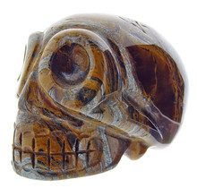 Traveler tiger eye skull 5 cm and 150 grams