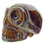 Traveler tiger eye skull 5 cm and 150 grams