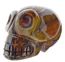 Traveler tiger eye skull 5 cm and 180 grams