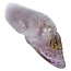 Traveler amethyst skull 6 cm and 38 grams