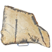 Dendrit aus Solnhofen, 3230 Gramm