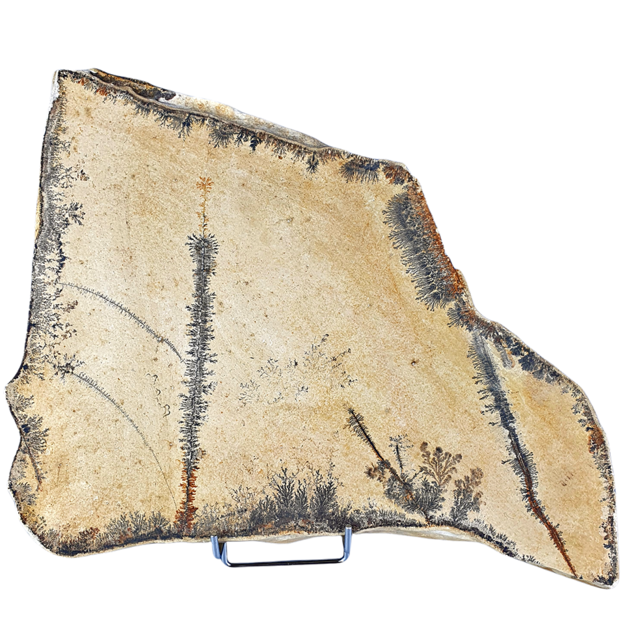 Dendriet uit Solnhofen, 3230 gram Dendriet uit Solnhofen, 3230 gram