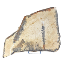 Dendrite from Solnhofen, 3230 grams