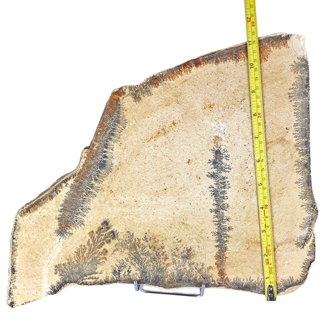 Dendriet uit Solnhofen, 3230 gram Dendriet uit Solnhofen, 3230 gram