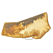 Dendriet uit Solnhofen, 2940 gram Dendriet uit Solnhofen, 2940 gram