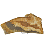 Dendrit aus Solnhofen, 2940 Gramm Dendrit aus Solnhofen, 2940 Gramm