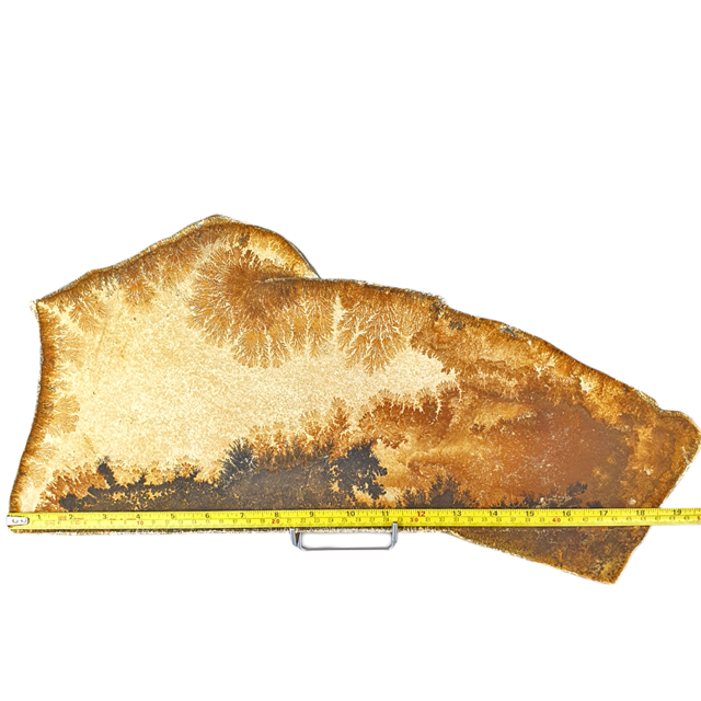 Dendrit aus Solnhofen, 2940 Gramm Dendrit aus Solnhofen, 2940 Gramm