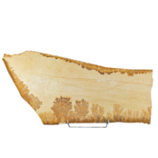 Dendrit aus Solnhofen, 4400 Gramm Dendrit aus Solnhofen, 4400 Gramm