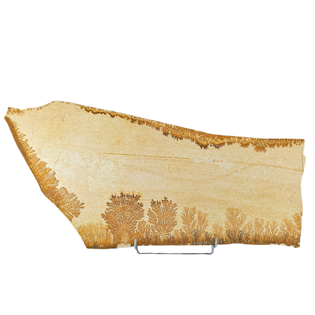 Dendrit aus Solnhofen, 4400 Gramm Dendrit aus Solnhofen, 4400 Gramm