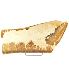 Dendrite slab including standard