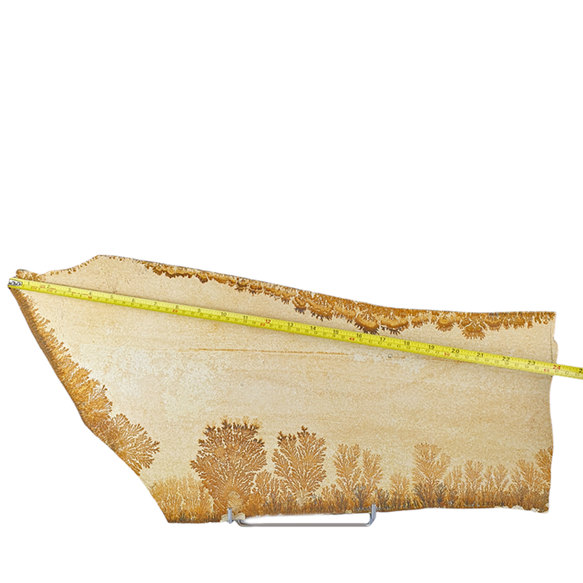 Dendrit aus Solnhofen, 4400 Gramm Dendrit aus Solnhofen, 4400 Gramm
