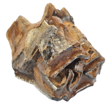 Fossiler Backenzahn des Wollnashorns