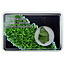 Moldavite in a gift box