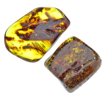 Tumble stones of Baltic amber