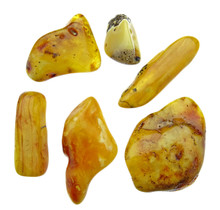 Tumble stones of Baltic amber