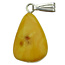 Beautiful pendant of baltic amber