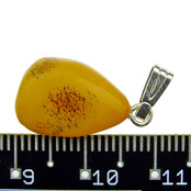 Beautiful pendant of baltic amber