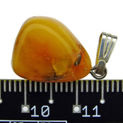 Beautiful pendant of baltic amber