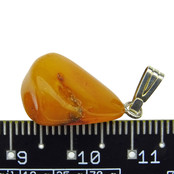 Beautiful pendant of baltic amber Beautiful pendant of baltic amber