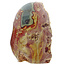 Polychrome jasper, polished on one side 690 grams