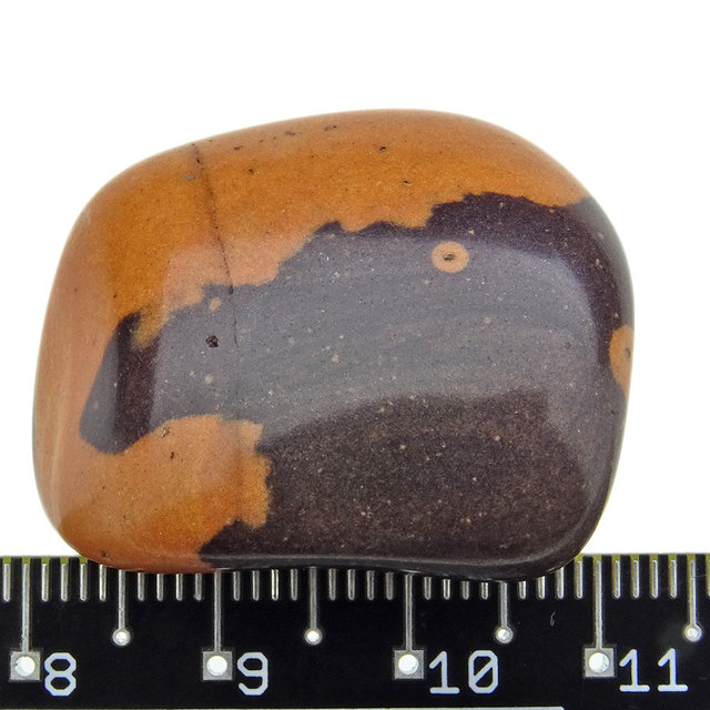 Gila Jasper from Arizona USA Gila Jasper from Arizona USA