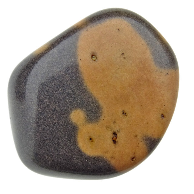 Gila Jasper from Arizona USA Gila Jasper from Arizona USA