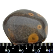 Gila Jasper from Arizona USA Gila Jasper from Arizona USA