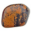 Gila Jasper from Arizona USA