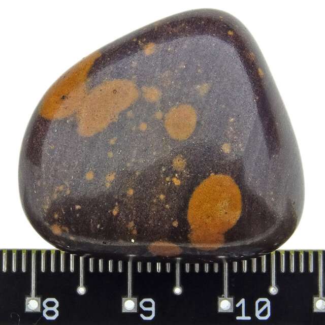 Gila Jasper from Arizona USA Gila Jasper from Arizona USA