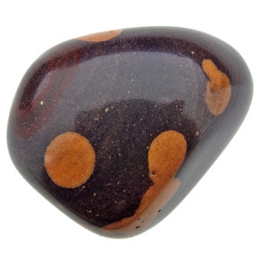 Gila jasper
