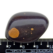 Gila Jasper from Arizona USA Gila Jasper from Arizona USA