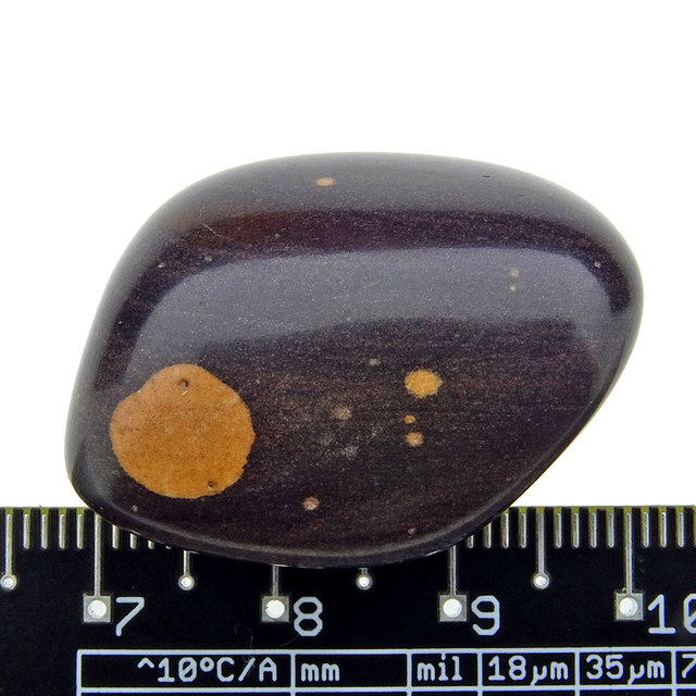 Gila Jasper from Arizona USA Gila Jasper from Arizona USA