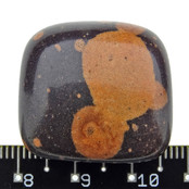 Gila Jasper aus Arizona USA Gila Jasper aus Arizona USA