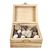 Schatzkiste mit verschiedenen Fossilien aus Marokko