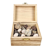 Treasure box with different fossils from Morocco