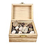 Treasure box with different fossils from Morocco