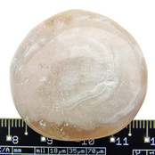 Tumbled flower agate from Madagascar Tumbled flower agate from Madagascar