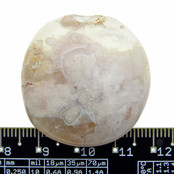 Tumbled flower agate from Madagascar Tumbled flower agate from Madagascar