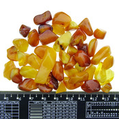 25 grams of polished Baltic amber 25 grams of polished Baltic amber