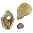 3 beautiful pieces of agate