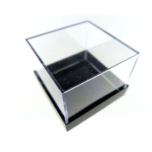 50x Aufbewahrungsbox 2,5 x 2,5 cm schwarz